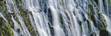 Burney Falls, Mcarthur-Burney Falls Memorial State Park, California, USA Vinilos decorativos por Panoramic Images Burney Falls, Mcarthur-Burney Falls Memorial State Park, California, USA Vinilos decorativos por Panoramic Images