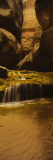 Waterfall in Canyons, North Creek, Great West Canyon, Zion National Park, Utah, USA Vinilos decorativos por Panoramic Images Waterfall in Canyons, North Creek, Great West Canyon, Zion National Park, Utah, USA Vinilos decorativos por Panoramic Images