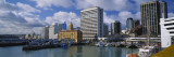 Motorboats Docked at a Harbor, Auckland, North Island, New Zealand Vinilos decorativos por Panoramic Images