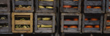 Crates of Gourds and Pumpkins, South Dakota, USA Wall Decal by Panoramic Images 