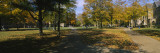 People at a University Campus, University of Notre Dame, South Bend, Indiana, USA Wall Decal by Panoramic Images 