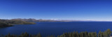 Trees at the Lakeside, Lake Titicaca, Copacabana, Bolivia Autocollant mural par Panoramic Images 