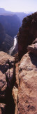 Colorado River in a Canyon, North Rim, Toroweap, Grand Canyon National Park, Utah, USA Wall Decal by Panoramic Images 