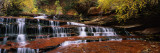 Waterfall in a Forest, North Creek, Zion National Park, Utah, USA Vinilos decorativos por Panoramic Images Waterfall in a Forest, North Creek, Zion National Park, Utah, USA Vinilos decorativos por Panoramic Images
