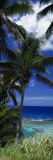 Palm Trees on Island Coast, Blue Ocean Water, Nive Island, South Pacific Wall Decal by Panoramic Images 