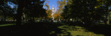 People at a University Campus, University of Notre Dame, South Bend, Indiana, USA Wall Decal by Panoramic Images 