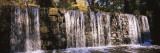 Waterfall in a Forest, Cedarock Park, Alamance County, North Carolina, USA Vinilos decorativos por Panoramic Images Waterfall in a Forest, Cedarock Park, Alamance County, North Carolina, USA Vinilos decorativos por Panoramic Images