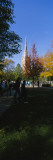 People at a University Campus, University of Notre Dame, South Bend, Indiana, USA Wall Decal by Panoramic Images 