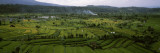 Terraced Rice Fields, Candi Dasa, Bali, Indonesia Wall Decal by Panoramic Images 