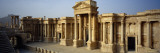Facade of a Building, Palmyra, Syria Wall Decal by Panoramic Images 