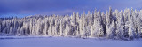 Winter Wawona Meadow Yosemite National Park, CA Vinilos decorativos por Panoramic Images