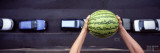 Person Dropping a Watermelon from High Above onto a Street Wall Decal by Panoramic Images 