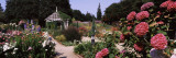 Gazebo in a Garden, Elizabeth F. Gamble Garden, Palo Alto, Silicon Valley, California, USA Wall Decal by Panoramic Images 