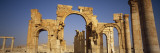 Old Ruins of Palmyra, Syria Wall Decal by Panoramic Images 