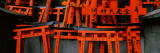 Torii Gates of a Shrine, Fushimi Inari-Taisha, Fushimi Ward, Kyoto, Honshu, Japan Vinilos decorativos por Panoramic Images