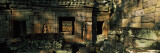 Ruins of a Temple, Preah Khan, Angkor, Cambodia Decalque em parede por Panoramic Images Ruins of a Temple, Preah Khan, Angkor, Cambodia Decalque em parede por Panoramic Images