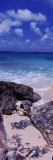 View of Rocks on the Beach, Island Harbour, Anguilla Wall Decal by Panoramic Images
