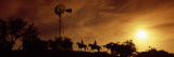 Silhouette of Two Horse Riders at Sunset, Hunt, Kerr County, Texas, USA Wall Decal by Panoramic Images 