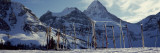Skis and Ski Poles on a Snow Covered Landscape, Mt Assiniboine, Mt Assiniboine Provincial Park Vinilos decorativos por Panoramic Images