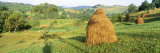Farm Transylvania Romania Wall Decal by  Panoramic Images