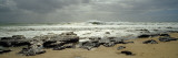Rock Formations on the Beach, Jeffreys Bay, Eastern Cape, South Africa Wall Decal by Panoramic Images 