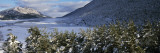 Fir Trees in a Snow Covered Landscape, French Riviera, Provence-Alpes-Cote D'Azur, France Vinilos decorativos por Panoramic Images