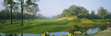 Stream on a Golf Course, Haile Plantation, Gainesville, Florida, USA Wall Decal by  Panoramic Images