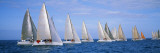 Yachts in the Ocean, Key West, Florida, USA Wall Decal by Panoramic Images 