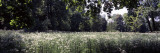 Flowers and Trees in a Garden, Garden of Lednice, Lednice, Moravia, Czech Republic Wall Decal by Panoramic Images 