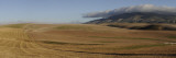 Farmland with a Cloud Covered Mountain in the Background, Eastern Cape, South Africa Vinilos decorativos por Panoramic Images Farmland with a Cloud Covered Mountain in the Background, Eastern Cape, South Africa Vinilos decorativos por Panoramic Images