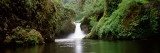 Waterfall in a Forest, Punch Bowl Falls, Eagle Creek, Hood River County, Oregon, USA Vinilos decorativos por Panoramic Images Waterfall in a Forest, Punch Bowl Falls, Eagle Creek, Hood River County, Oregon, USA Vinilos decorativos por Panoramic Images