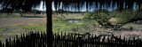 View from a Hut, Waterhole, Onguma Bush Camp, Etosha National Park, Kunene Region, Namibia Vinilos decorativos por Panoramic Images View from a Hut, Waterhole, Onguma Bush Camp, Etosha National Park, Kunene Region, Namibia Vinilos decorativos por Panoramic Images