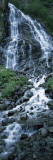 Waterfall in a Forest, Horsetail Falls, Valdez, Alaska, USA Vinilos decorativos por Panoramic Images Waterfall in a Forest, Horsetail Falls, Valdez, Alaska, USA Vinilos decorativos por Panoramic Images