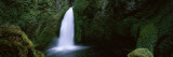 Waterfall in a Forest, Columbia River Gorge, Oregon, USA Vinilos decorativos por Panoramic Images Waterfall in a Forest, Columbia River Gorge, Oregon, USA Vinilos decorativos por Panoramic Images
