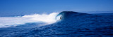 Surfer in the Sea, Tahiti, French Polynesia Wandabziehbild von Panoramic Images 