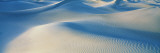 Mesquite Flats Death Valley National Park Ca, USA Vinilos decorativos por Panoramic Images Mesquite Flats Death Valley National Park Ca, USA Vinilos decorativos por Panoramic Images