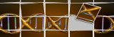 DNA Model in Jumbled Tiles Wall Decal by Panoramic Images 