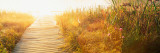 Grass on the Both Sides of a Pier, Laurel Pond, Pokagon State Park, Indiana, USA Wall Decal by Panoramic Images 