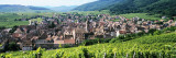 View of a Village, Riquewihr, Haut-Rhin, Alsace, France Wall Decal by Panoramic Images 