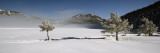 Trees on a Snow Covered Landscape, French Riviera, France Vinilos decorativos por Panoramic Images