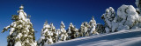 Snow Covered Fir and Larch Trees on a Landscape, French Riviera, Provence-Alpes-Cote D'Azur, France Vinilos decorativos por Panoramic Images