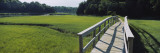 Boardwalk in a Field, Nauset Marsh, Cape Cod, Massachusetts, USA Wall Decal by  Panoramic Images