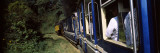 Passengers Traveling in a Steam Train, Nilgiri Mountain Railway, Coonoor Railway Station, Coonoor,  Wall Decal by Panoramic Images 