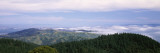 View of San Francisco from Mt Tamalpais, Marin County, California, USA Wall Decal by Panoramic Images 