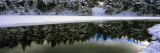 Reflection of Fir Trees in a Lake, French Riviera, Provence-Alpes-Cote D'Azur, France Wall Decal by Panoramic Images 