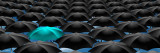 Infinite Umbrellas with a Blue One Vinilos decorativos por Panoramic Images Infinite Umbrellas with a Blue One Vinilos decorativos por Panoramic Images