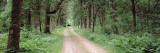 Dirt Road Passing Through a Forest, Sandhill Wildlife Area, Babcock, Wisconsin, USA Autocollant mural par Panoramic Images 