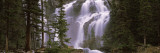 Waterfall in a Forest, Banff, Alberta, Canada Vinilos decorativos por Panoramic Images Waterfall in a Forest, Banff, Alberta, Canada Vinilos decorativos por Panoramic Images
