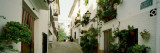 Houses Along a Street, Guadalest, Alicante, Spain Wall Decal by Panoramic Images 