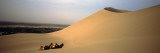 Two Camels Sitting in a Desert, Dunhuang, Jiuquan, Gansu Province, China Vinilos decorativos por Panoramic Images Two Camels Sitting in a Desert, Dunhuang, Jiuquan, Gansu Province, China Vinilos decorativos por Panoramic Images